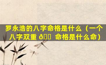 罗永浩的八字命格是什么（一个八字双重 🐠 命格是什么命）